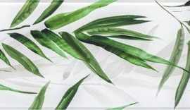Декор Glass Tropic B 25x75
