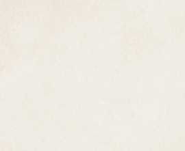 Плитка Sonnet Latte 20,1x50,5