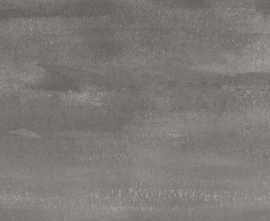 Плитка Sonnet Grey 20,1x50,5