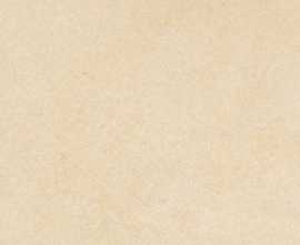 Керамогранит Stonbeige 1.0 60x60