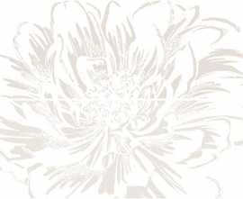 Панно Strato Anemone Crema (из 2-х плиток) 50,2x70,9