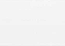 Плитка Sweet Home White Glossy 25x75
