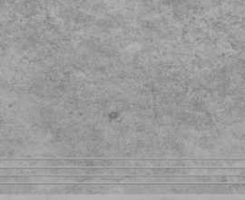 Ступень Tacoma Silver 29,7x59,7