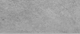 Ступень Tacoma Silver 29,7x119,7