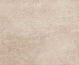 Плитка Tempre brown 30,8x60,8