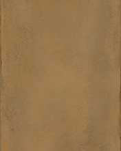 Керамогранит Terra Ochre Natural TERRA 12OC RM 60x120