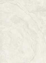 Керамогранит The Rock Ardesi6 260 RM 120x260