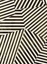 Декор The Room ZEBRA6 12LP 60x120