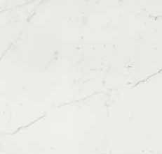 Керамогранит Timeless Calacatta Naturale 60x60