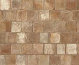 Керамогранит Trail Terracotta Toscana 20x20
