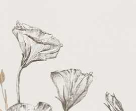 Декор Velo Bianco flowers 4 59,8x119,8