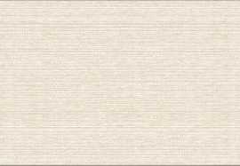Плитка Veneziano Seta 20,1x50,5