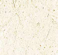Плитка Ventura Ivory form 14,8x22,5