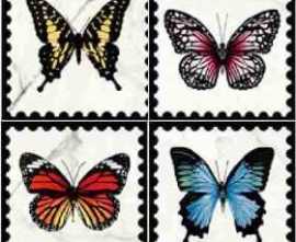 Декор Victorian Marble White Butterfly Perforated 20x20