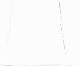 Керамогранит Vivid White Calacatta pulido 89,46x89,46