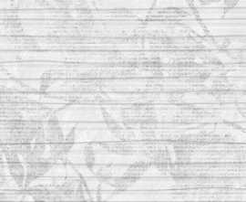 Плитка Борнео Декор 2 белый 30x60