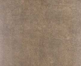 Керамогранит Королевская дорога обрезной коричневый 60x60 SG614900R/SG614920R