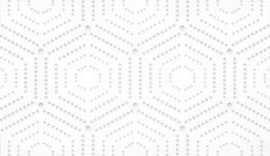 Декор Парижанка Геометрия белый 20x60