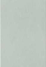 Плитка Chalk Grey 25x76