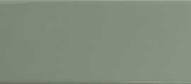 Плитка Match Sage gloss 6,25x25