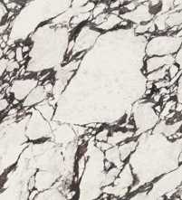 Керамогранит Medicea Marble Honed Rect 120x278