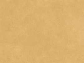 Керамогранит Spectra Mustard 120x278