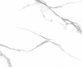 Керамогранит Calacatta Splendid Silver белый Полированный 60x120