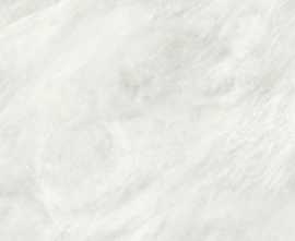 Керамогранит Alexandria White Matt rect 60x120