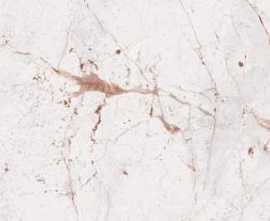 Керамогранит Sonata White Glossy 60x120