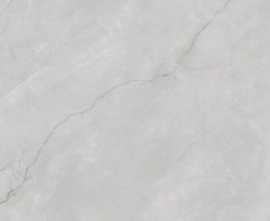Керамогранит Astonia Silver Glossy Silver Line 60x120