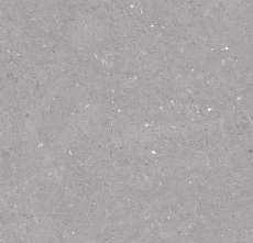 Керамогранит Fossil Grey StrongX Matt 59,8x119,8