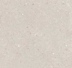 Керамогранит Fossil Barley StrongX Matt 59,8x119,8