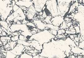 Декор Senza vein 29,8x74,8