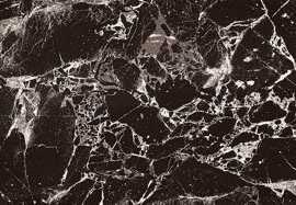 Плитка Senza vein black 29,8x74,8