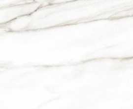 Плитка Euphoria 24,9x50 TWU2550EPH04