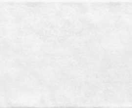 Плитка Boho 24,9x50 TWU2550BOH07
