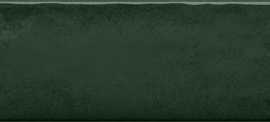 Плитка Masovia Verde C gloss STR 7,8x29,8