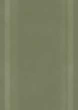 Плитка Green Philosophy Olive struktura rekt mat 29,8x89,8