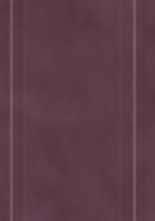 Плитка Place of shine Plum struktura rekt mat 29,8x89,8