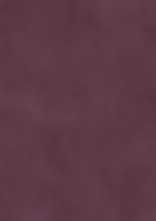 Плитка Place of shine Plum rekt mat 29,8x89,8