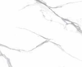 Керамогранит Calacatta Splendid Silver белый Матовый 60x120