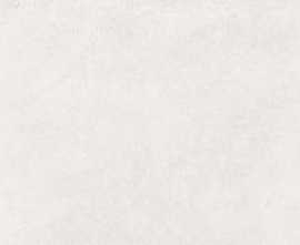 Керамогранит Portland Blanco 60x120
