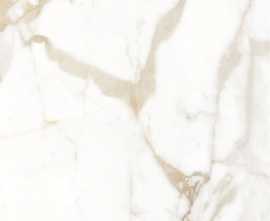 Керамогранит Calacatta Superior белый Матовый 60x60