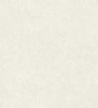 Керамогранит Kinstone Chalk rect 120x280