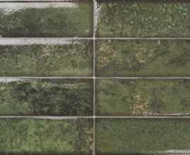 Керамогранит Dream Green 30x60