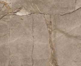 Керамогранит Patrin Brown Golden Glossy Carving 60x120