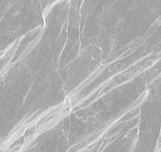 Керамогранит Carnico Metal Grenulla 60x120