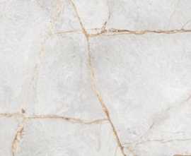 Керамогранит Special Marmo Gray полированный 60x120