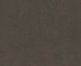 Керамогранит Sandstone Brown Pro коричневый матовый 60x60