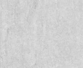 Керамогранит Dignity Light Grey Matt 59,7x59,7